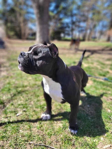 Entry image for Marta. Clicking this image will show a larger photo