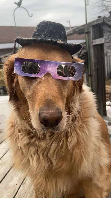 Entry image for Tucker. Clicking this image will show a larger photo