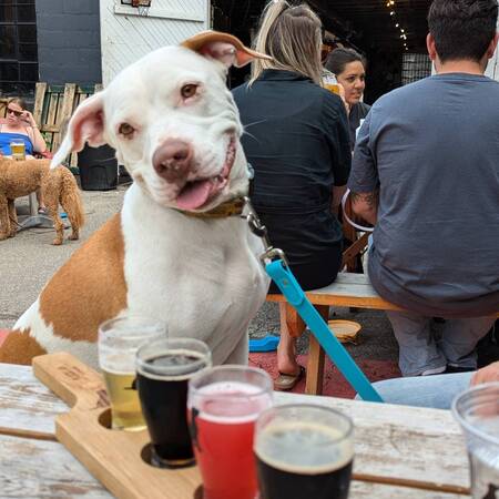 Entry image for Moo. Clicking this image will show a larger photo