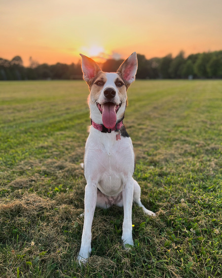 Entry image for Alya. Clicking this image will show a larger photo