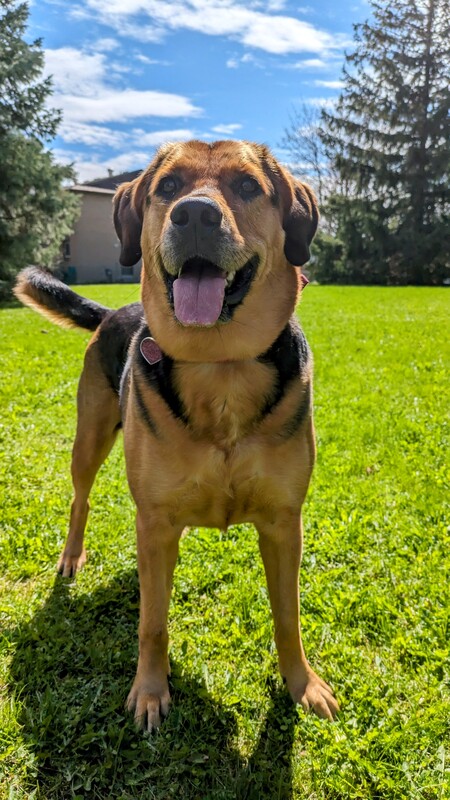 Entry image for Freyja. Clicking this image will show a larger photo