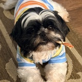 Entry image for Missy