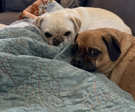 Entry image for Griffin & Winston. Clicking this image will show a larger photo