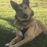 Entry image for Ruby