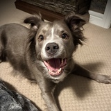 Entry image for Lady