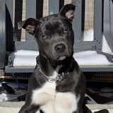 Entry image for Maui