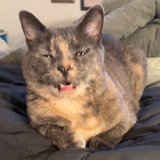 Entry image for Bubbles