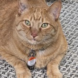 Entry image for Maxie