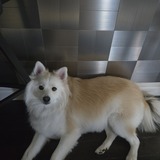 Entry image for Feebee