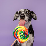 Entry image for Arwyn