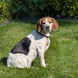 Entry image for Jewel