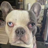 Entry image for Biggie Smallz 