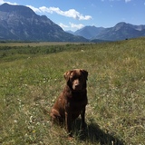 Entry image for Cash