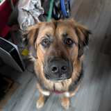 Entry image for Xena