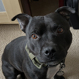 Entry image for Gunnar