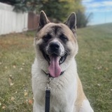 Entry image for My Profile