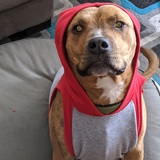 Entry image for Benny