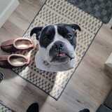 Entry image for Winston