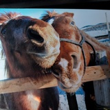 Entry image for Lilly & Casino