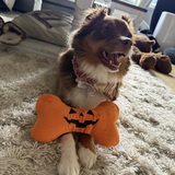 Entry image for Gertrude