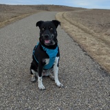 Entry image for Zisa