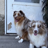 Entry image for Slim and Nash