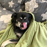 Entry image for Marge 