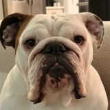 Entry image for Hemi