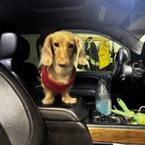 Entry image for Honey 