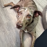 Entry image for Brennan