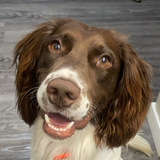 Entry image for Chunk