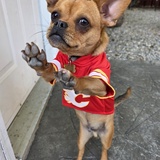 Entry image for Nacho Man Randy Cabbage