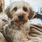 Entry image for George