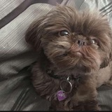 Entry image for Ellie