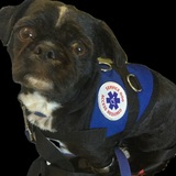 Entry image for Toby