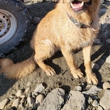 Entry image for Duke