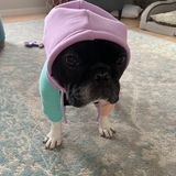 Entry image for Lola