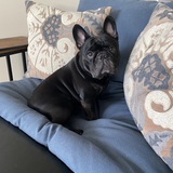 Entry image for Winston