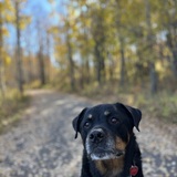 Entry image for Jaeger