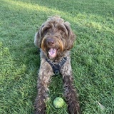 Entry image for Captain Morgan 