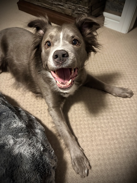 Entry image for Lady. Clicking this image will show a larger photo