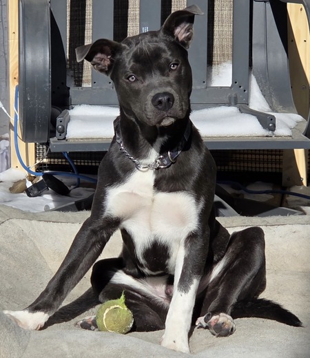 Entry image for Maui. Clicking this image will show a larger photo