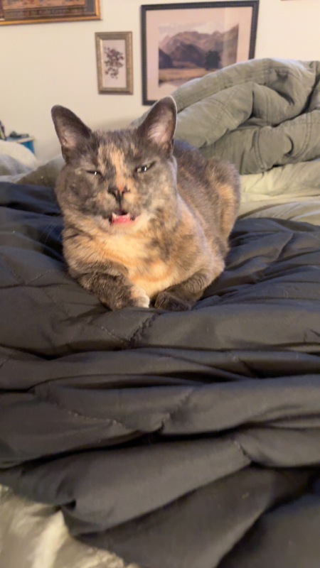 Entry image for Bubbles. Clicking this image will show a larger photo