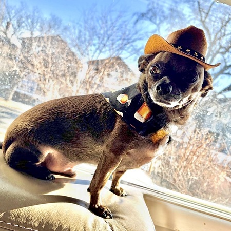 Entry image for BEAN. Clicking this image will show a larger photo