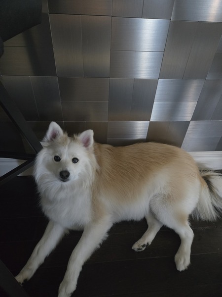 Entry image for Feebee. Clicking this image will show a larger photo