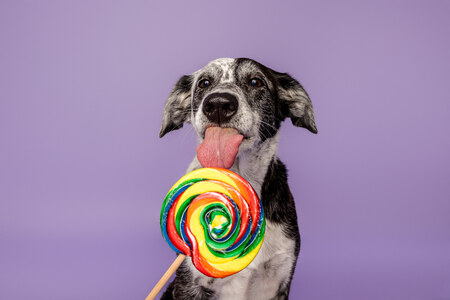 Entry image for Arwyn. Clicking this image will show a larger photo