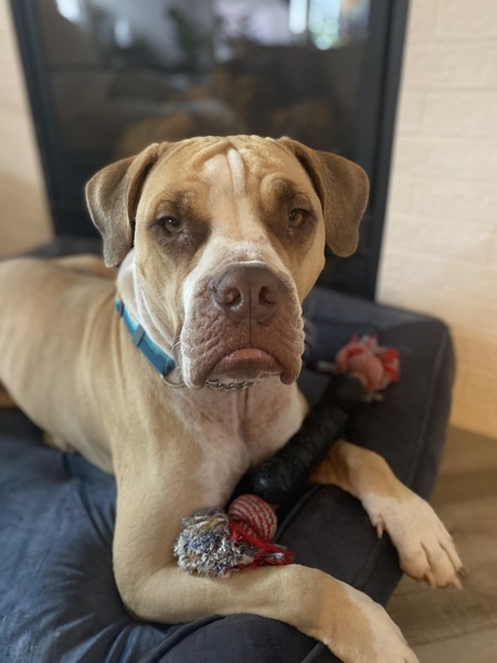 Entry image for Briggs. Clicking this image will show a larger photo