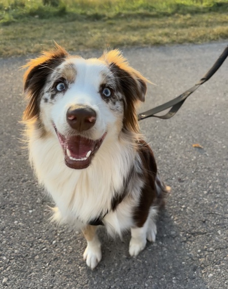 Entry image for Ruby . Clicking this image will show a larger photo