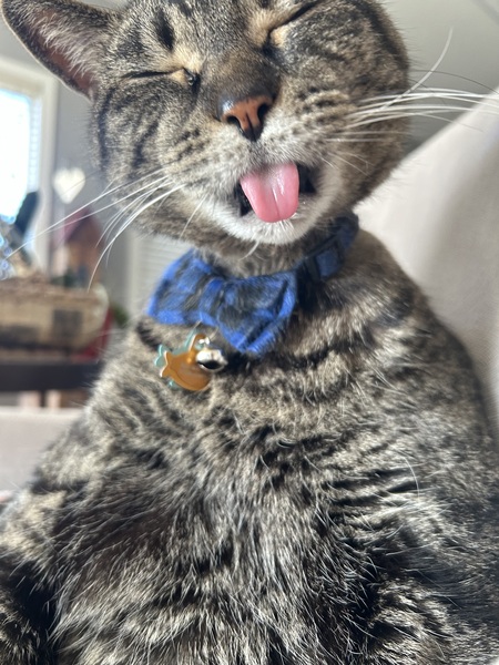 Entry image for Zac. Clicking this image will show a larger photo