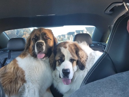 Entry image for OdieOdin. Clicking this image will show a larger photo